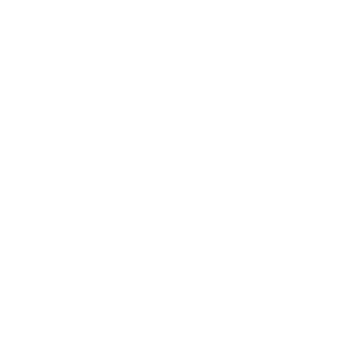 Logo weiß Schuhmeile-02