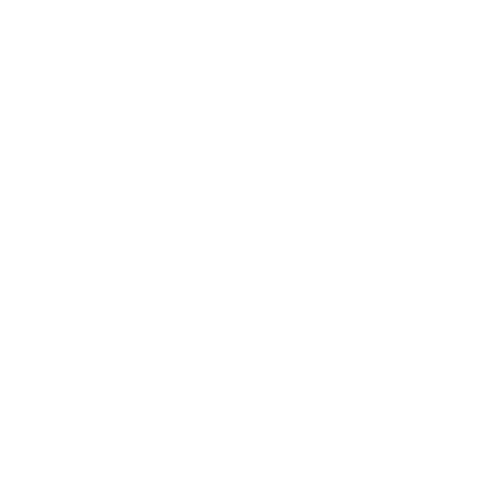 Logo weiß Schuhmeile-07