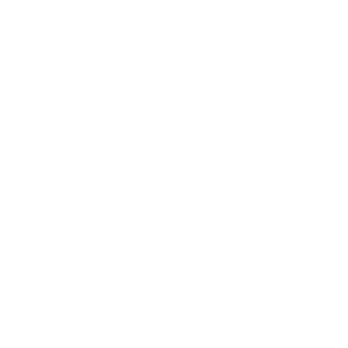 Logo weiß Schuhmeile-08