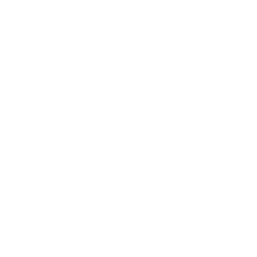 Logo weiß Schuhmeile-17