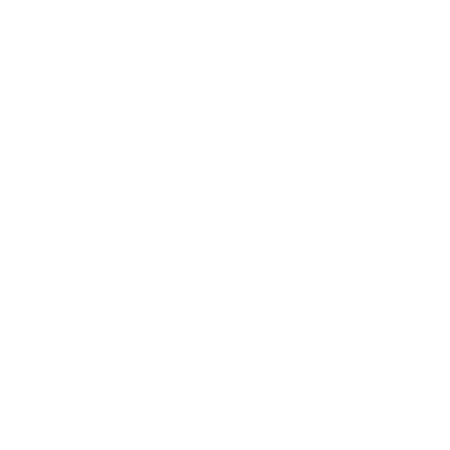 Logo weiß Schuhmeile-20