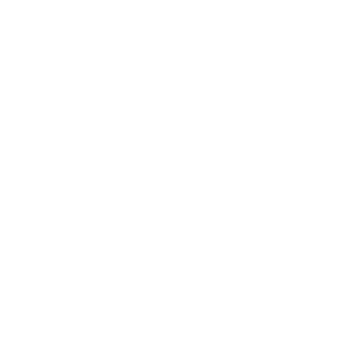 Logo weiß Schuhmeile-28