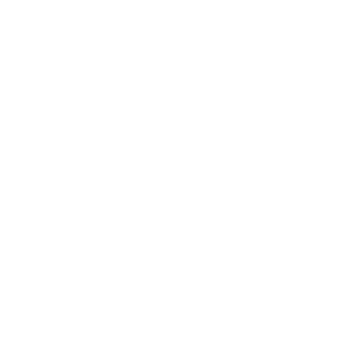 Logo weiß Schuhmeile-32