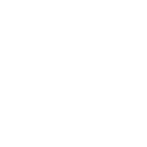 Logo weiß Schuhmeile-40